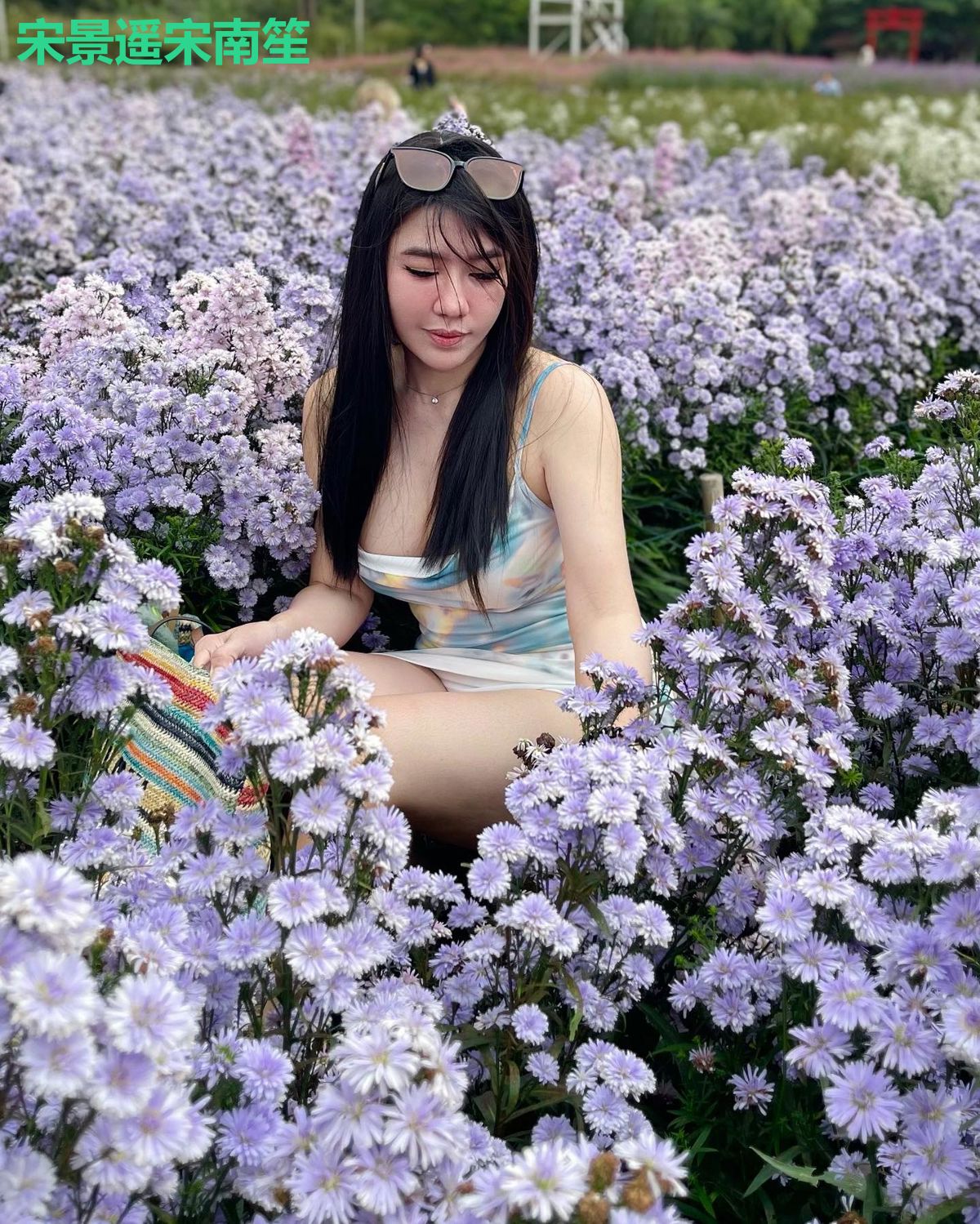 宋景遥宋南笙