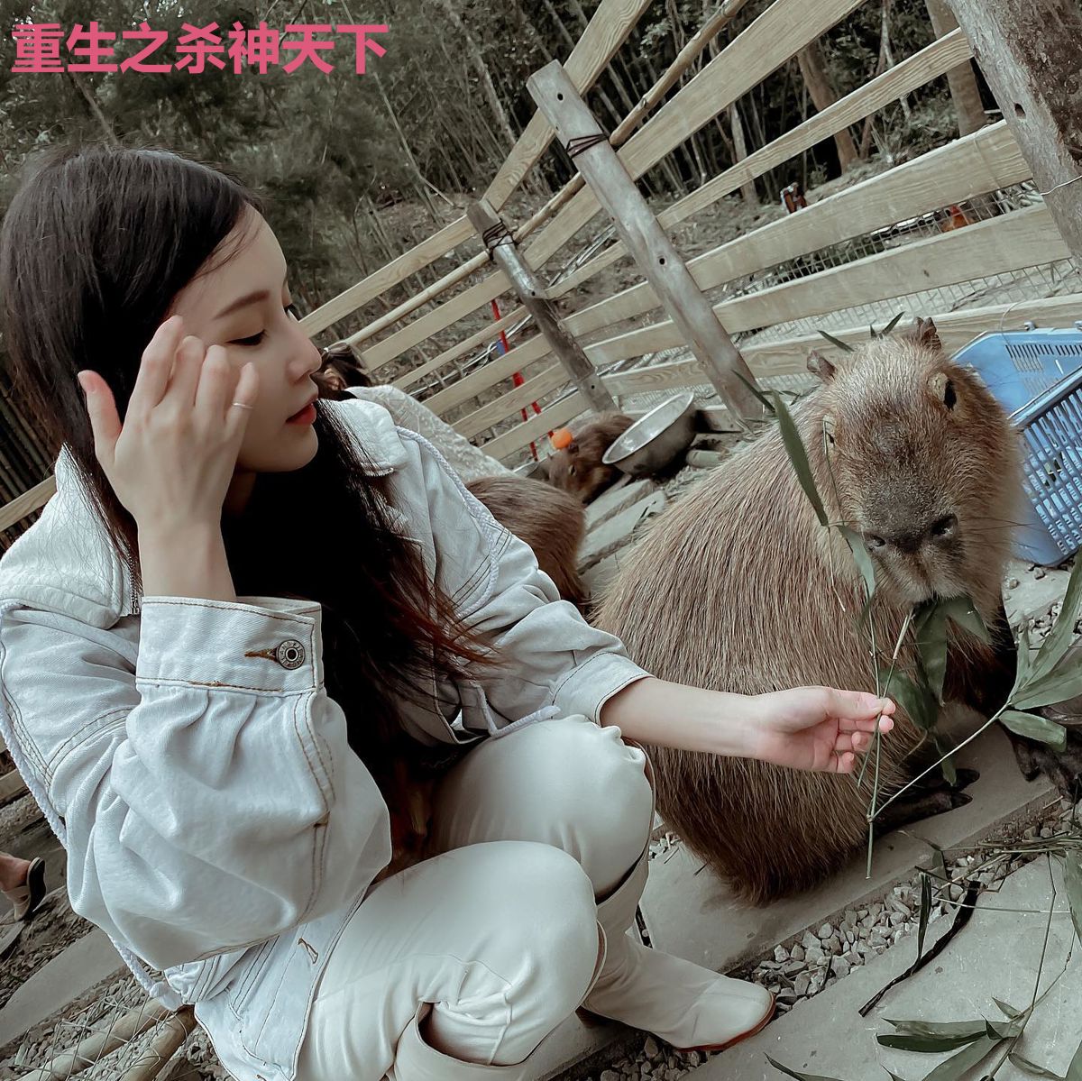 重生之杀神天下