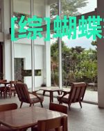 [综]蝴蝶效应