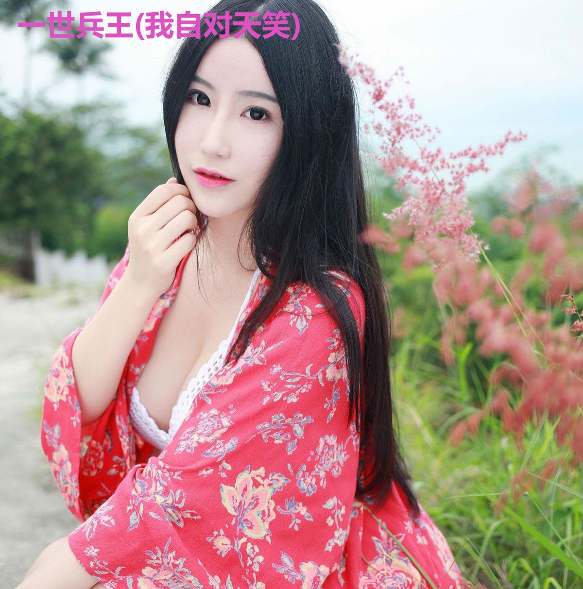 一世兵王(我自对天笑)