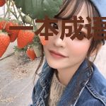 一本成语闯天下