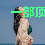 一部顶缸记