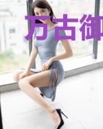 万古御龙诀
