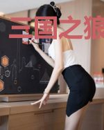 三国之狼行天下