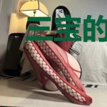 三宝的神秘爹地风千雪夜震霆