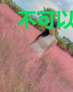 不可以吃cake哦