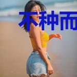不种而自生的花朵