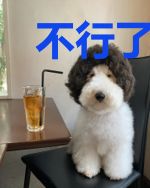 不行了，系统都要内卷？