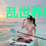 乱世养猪大亨