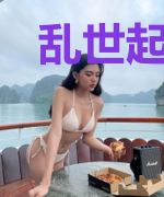 乱世起惊澜