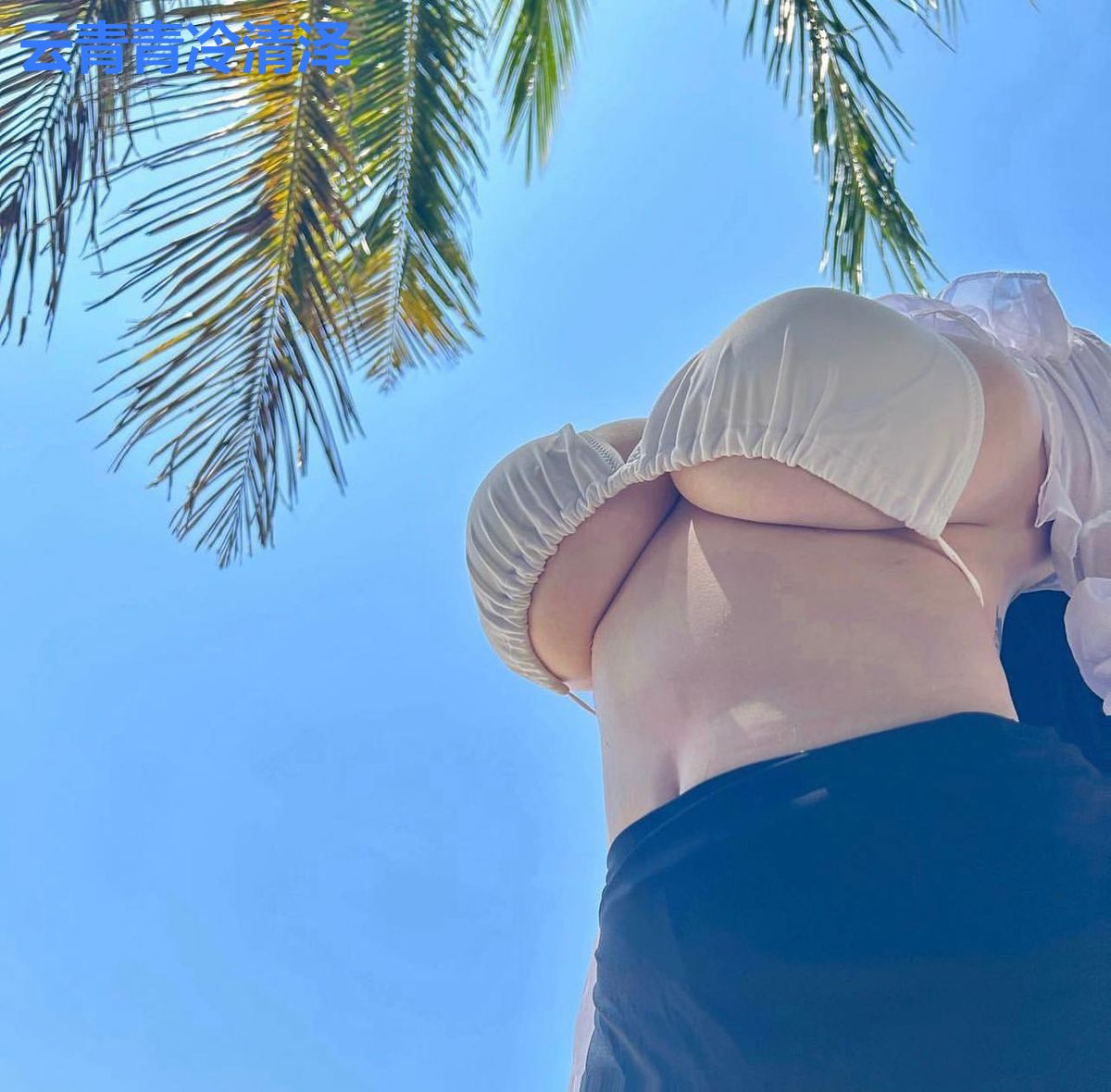 云青青冷清泽