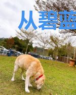 从碧蓝世界的废弃之地开始