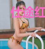仕途红颜：桃运无双