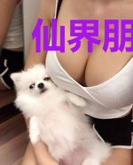 仙界朋友圈