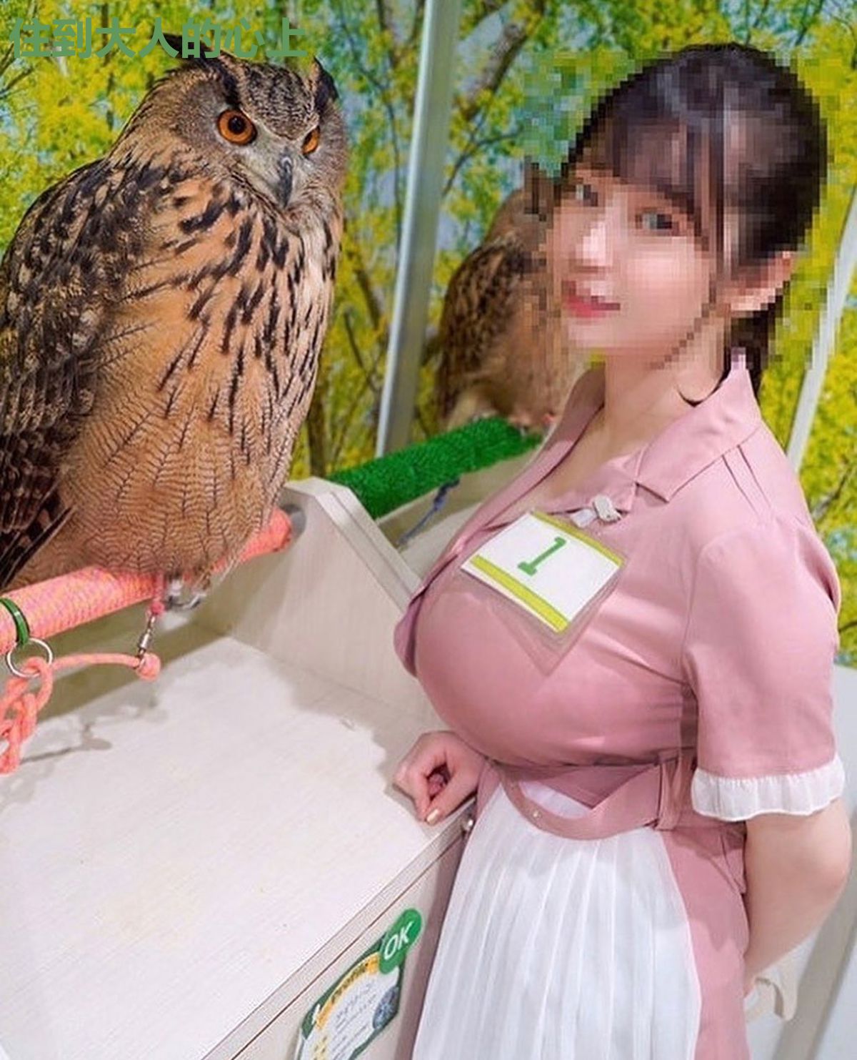 住到大人的心上