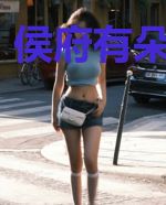 侯府有朵小娇花