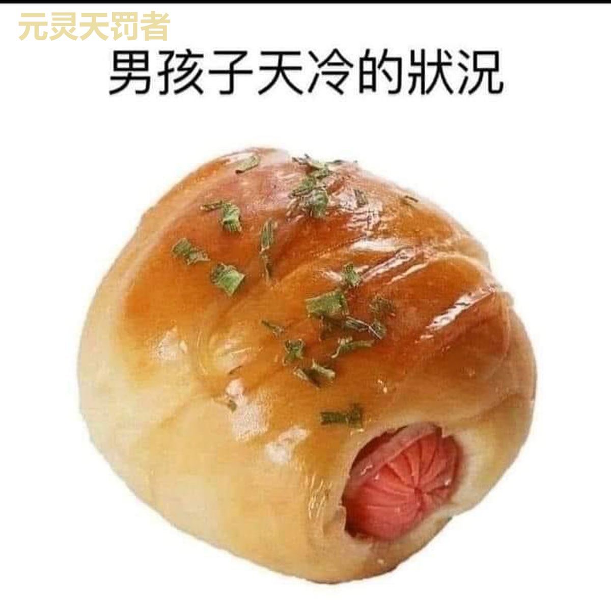 元灵天罚者