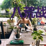 八荒战王凌霄李墨涵