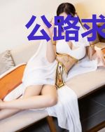 公路求生之我的科技超勇