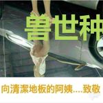 兽世种田：我靠基建成了万人迷