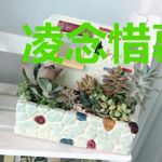 凌念惜慕容玦