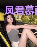 凤君慕南簌歌