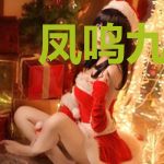 凤鸣九霄：异世王妃