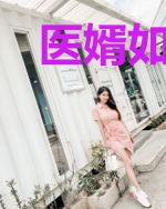 医婿如龙楚风柳婉仪