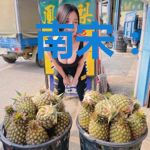 南宋：我,岳飞之子！反了！