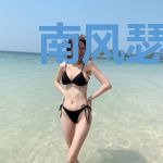 南风瑟瑟惊凰影叶笙萧御