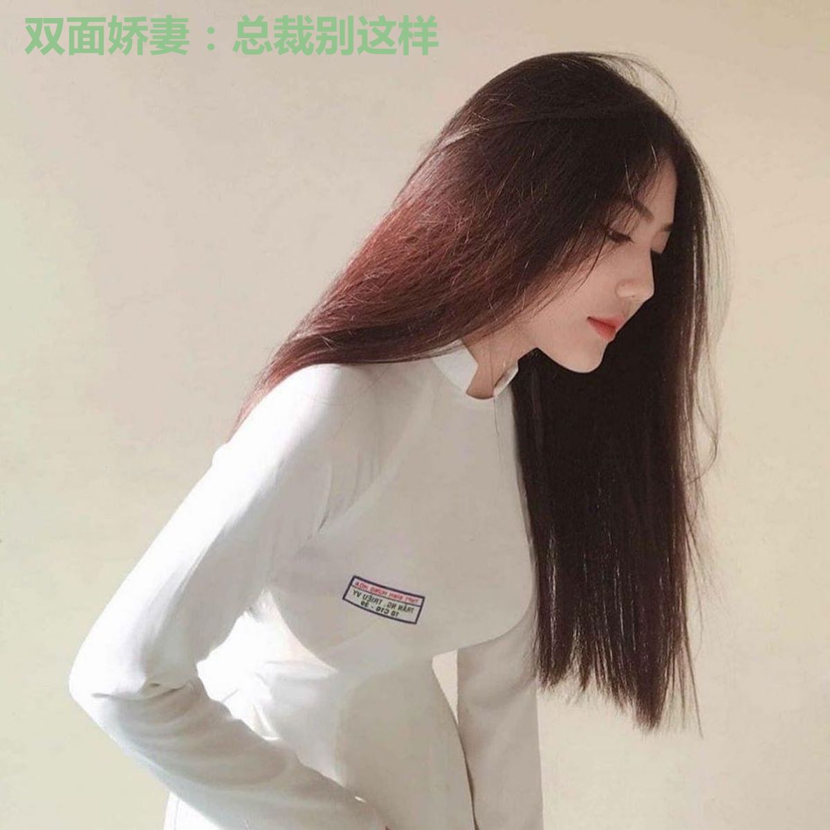 双面娇妻：总裁别这样