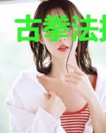 古拳法接班人