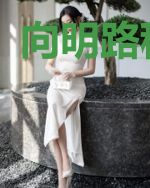 向明路程皓蓝