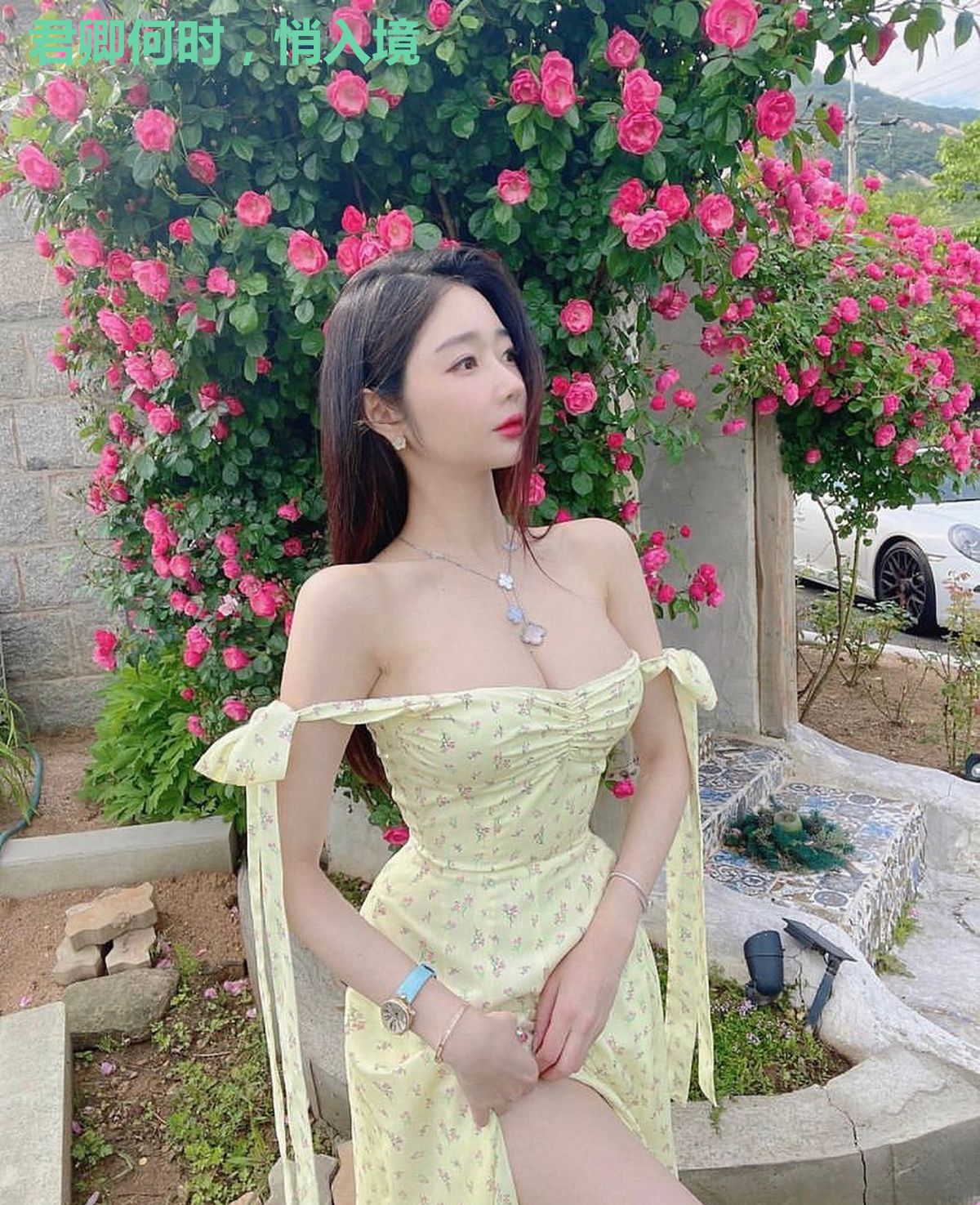 君卿何时，悄入境