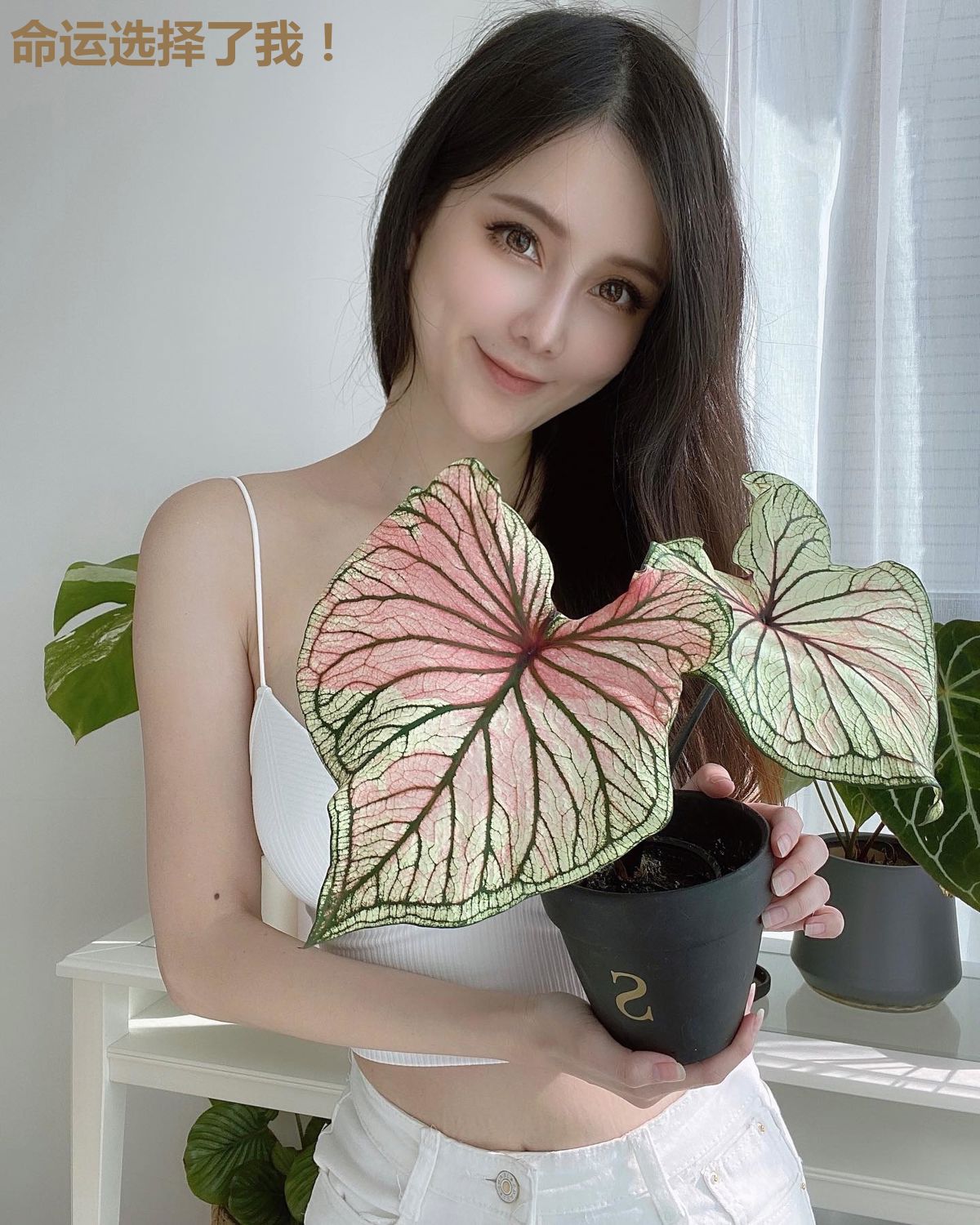 命运选择了我！