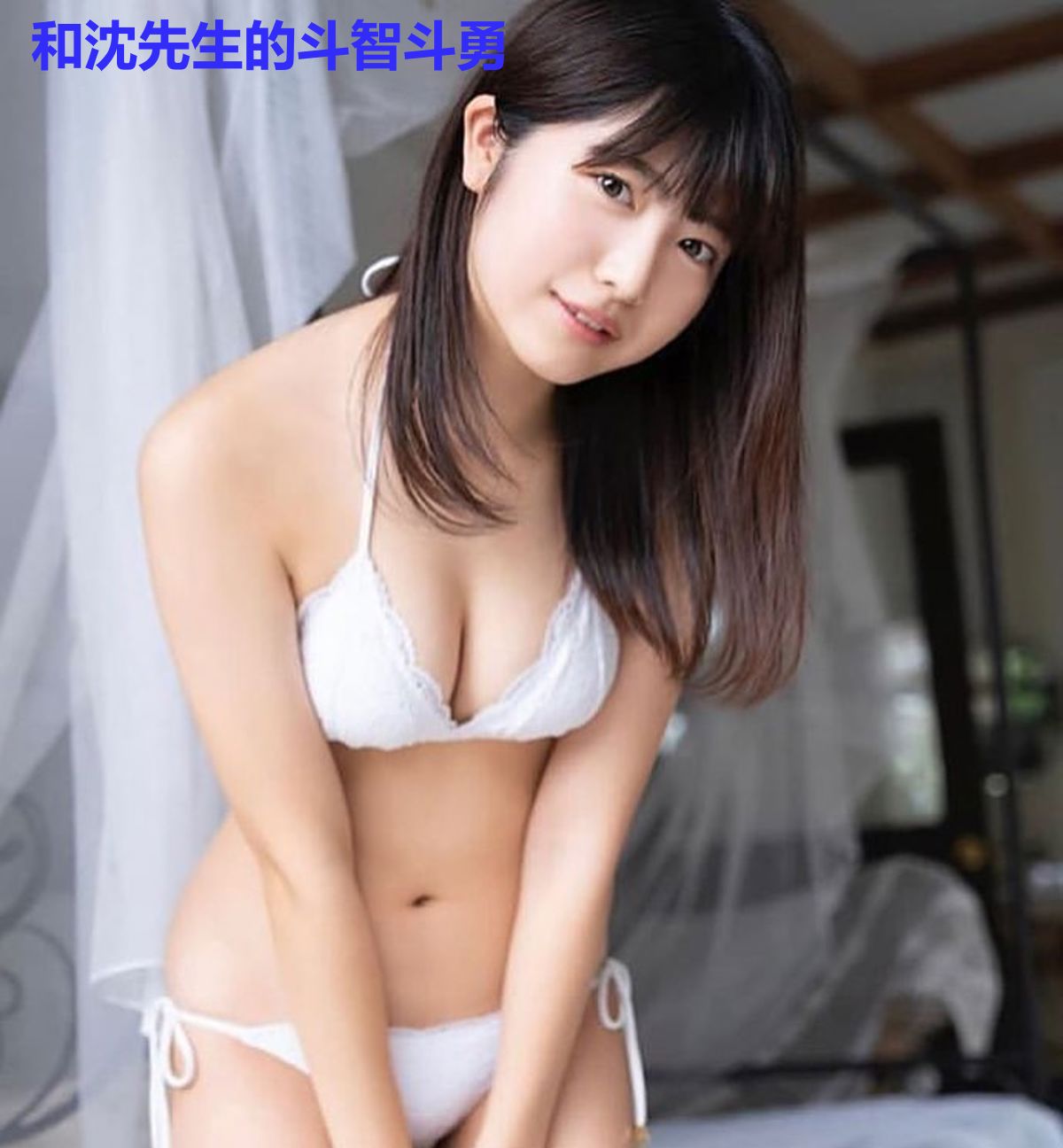 和沈先生的斗智斗勇