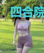 四合院我的系统要升级