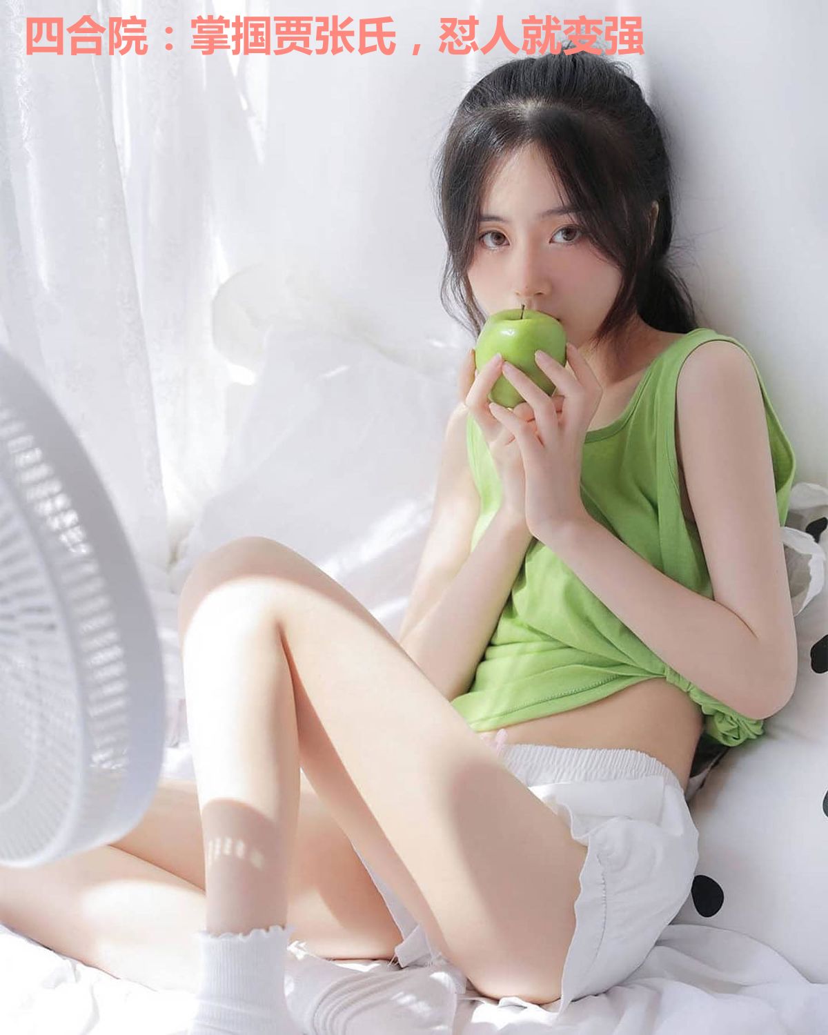 四合院：掌掴贾张氏，怼人就变强