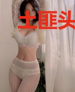 土匪头子在异界：至尊强盗王
