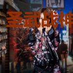 圣武战神林晚晚