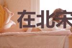 在北宋末年做藩镇