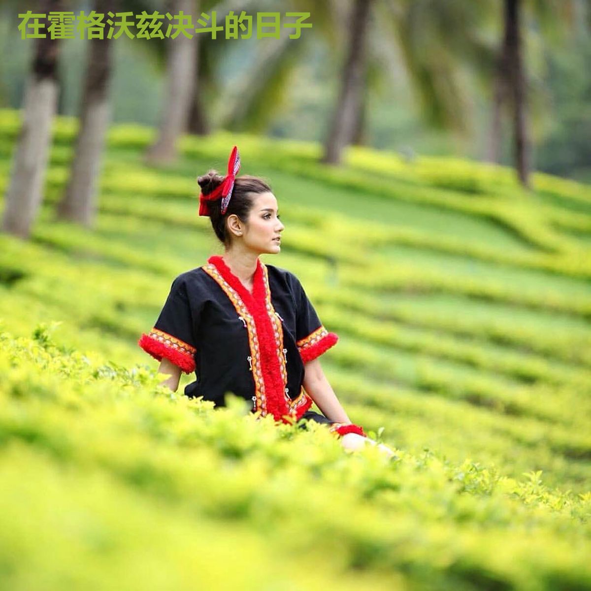 在霍格沃兹决斗的日子