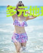 多元地球之主