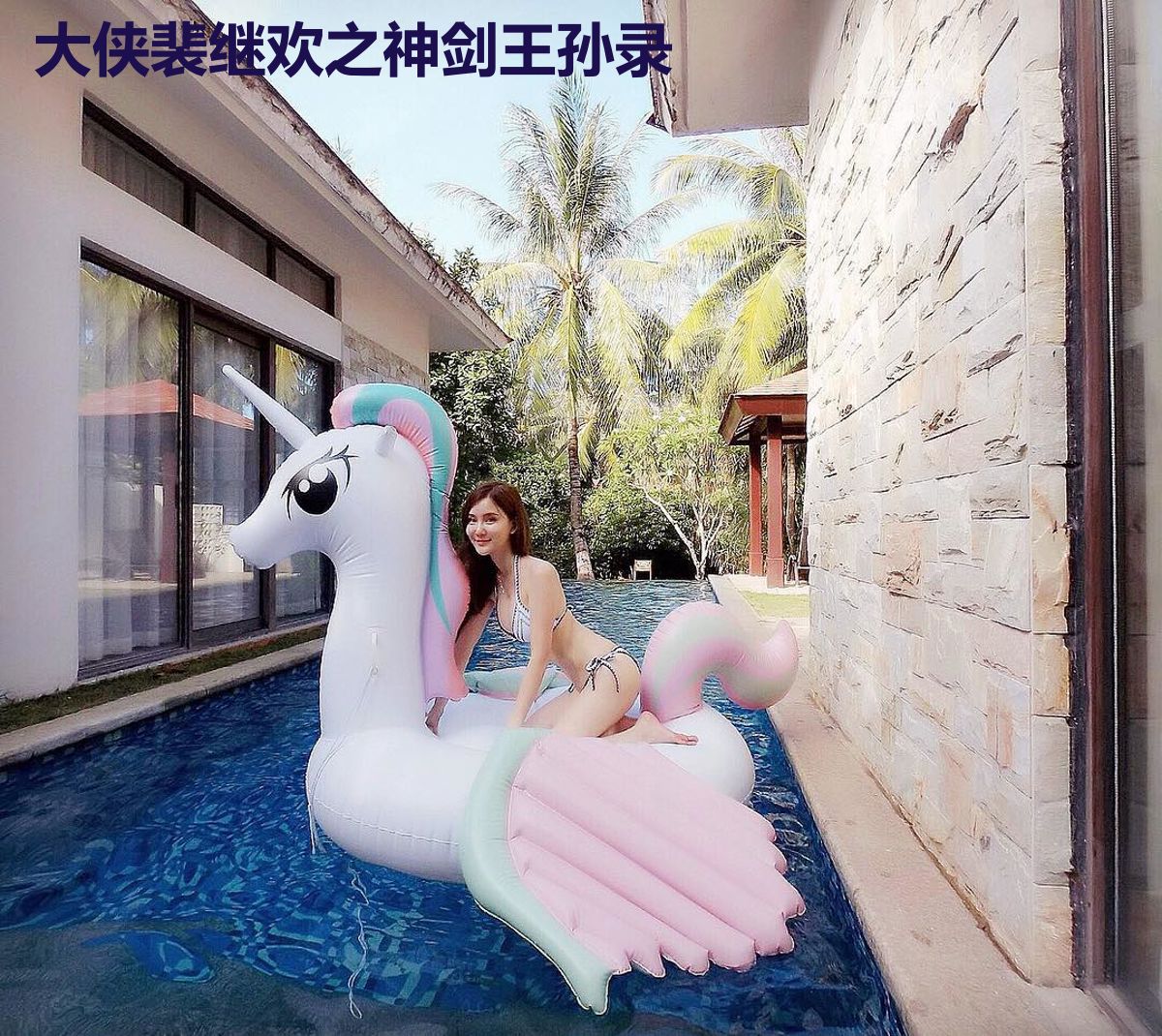 大侠裴继欢之神剑王孙录