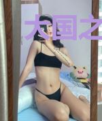 大国之师陈飞柳柔