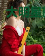 大明星就是我