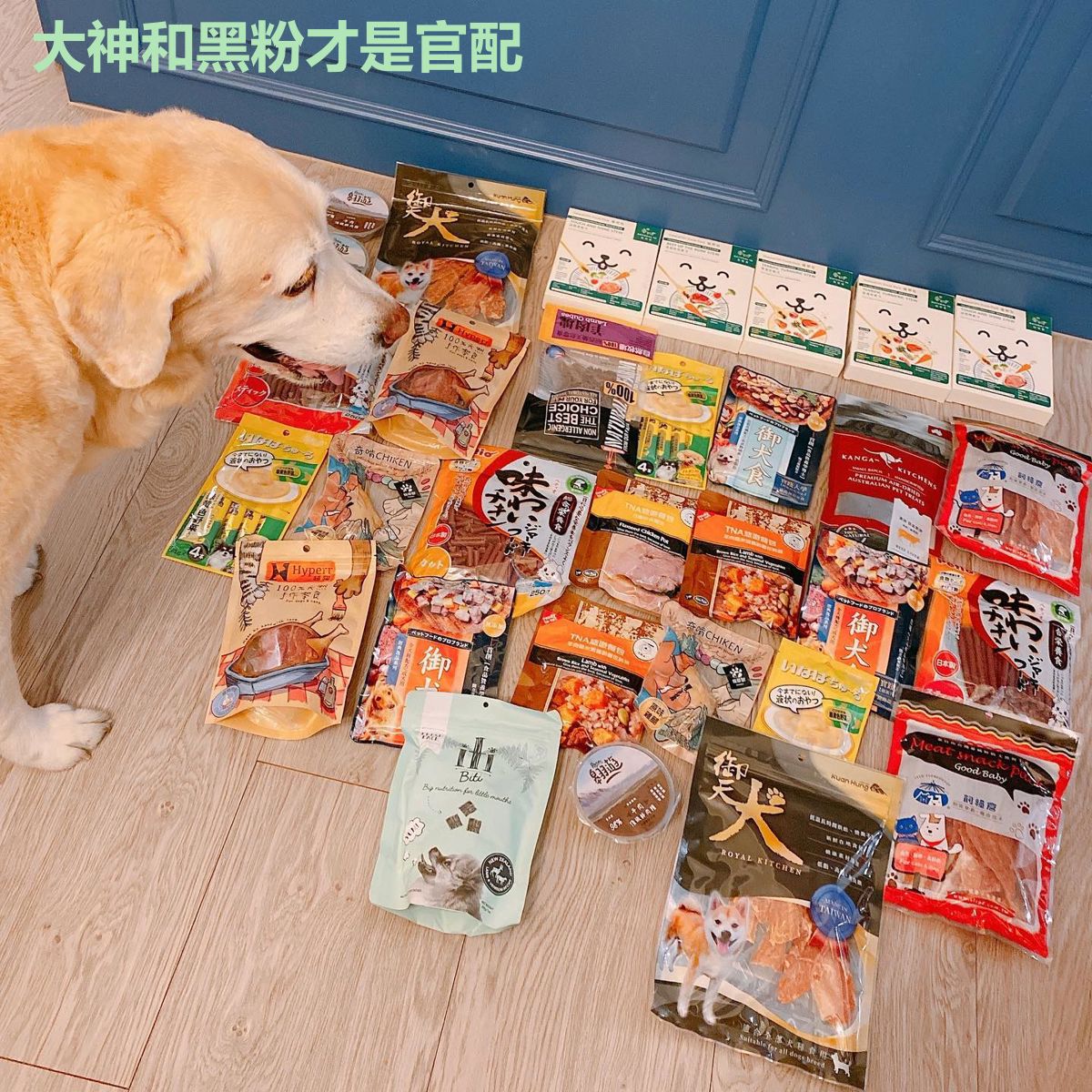 大神和黑粉才是官配