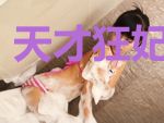 天才狂妃惊九州