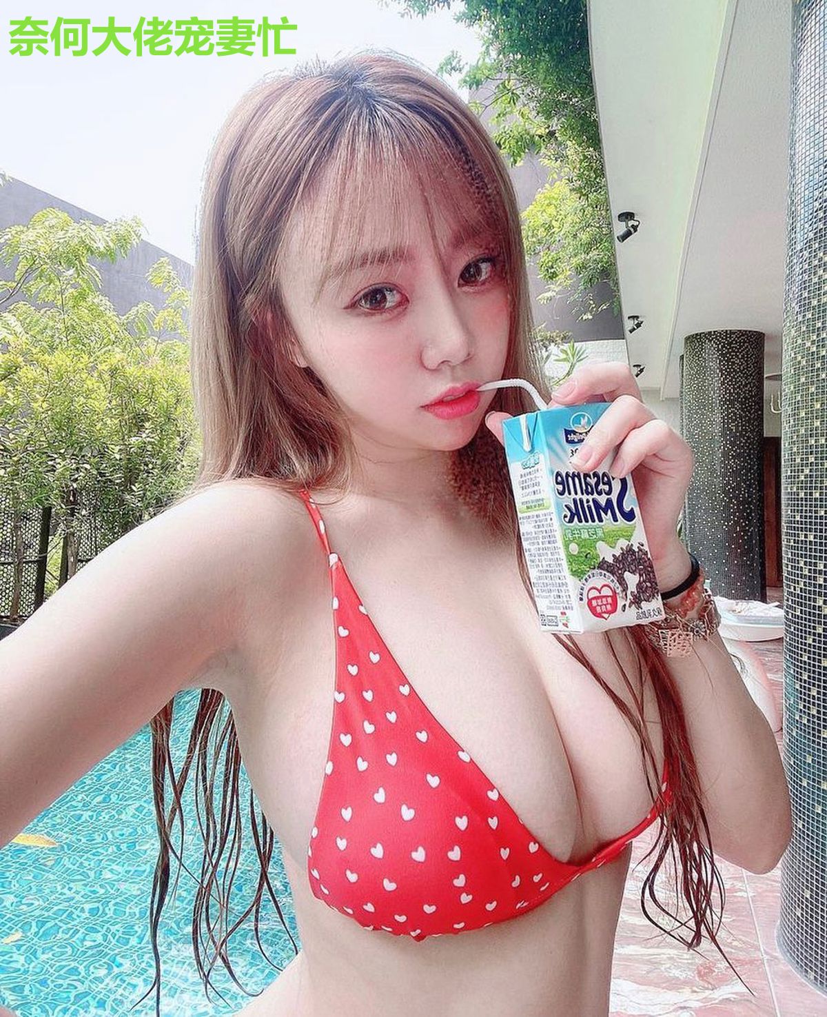 奈何大佬宠妻忙