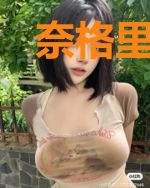 奈格里之魂